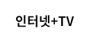 인터넷+TV
